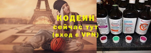 хмурый Белокуриха